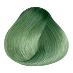 Load image into Gallery viewer, BASIC COLOR - 100