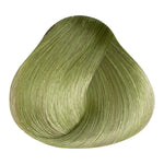 Load image into Gallery viewer, BASIC COLOR - 100