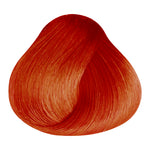 Load image into Gallery viewer, BASIC COLOR - 100