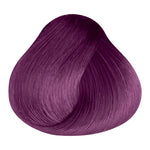 Load image into Gallery viewer, BASIC COLOR - 100