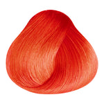 Load image into Gallery viewer, BASIC COLOR - 100