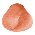 Load image into Gallery viewer, BASIC COLOR - BR.56