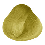 Load image into Gallery viewer, BASIC COLOR - G.3