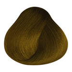 Load image into Gallery viewer, BASIC COLOR - G.3