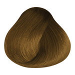 Load image into Gallery viewer, BASIC COLOR - GG.33