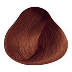 Load image into Gallery viewer, BASIC COLOR - K.4