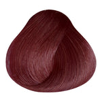 Load image into Gallery viewer, BASIC COLOR - V.2