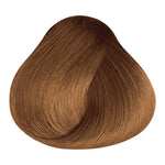 Load image into Gallery viewer, BASIC COLOR - B.5