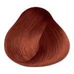 Load image into Gallery viewer, BASIC COLOR - BR.56