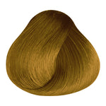 Load image into Gallery viewer, BASIC COLOR - G.3