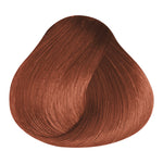 Load image into Gallery viewer, BASIC COLOR - K.4