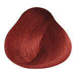 Load image into Gallery viewer, BASIC COLOR - KG.43