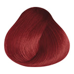 Load image into Gallery viewer, BASIC COLOR- R.6