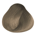 Load image into Gallery viewer, BASIC COLOR A.1