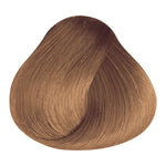 Load image into Gallery viewer, BASIC COLOR - B.5