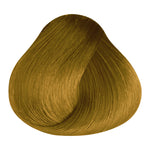 Load image into Gallery viewer, BASIC COLOR - G.3