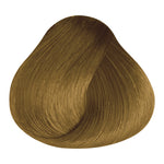 Load image into Gallery viewer, BASIC COLOR - GG.33