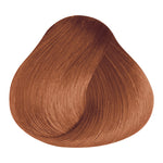 Load image into Gallery viewer, BASIC COLOR - K.4