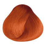 Load image into Gallery viewer, BASIC COLOR - KG.43