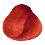 Load image into Gallery viewer, BASIC COLOR - KR.46