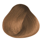 Load image into Gallery viewer, BASIC COLOR - N.0