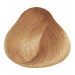 Load image into Gallery viewer, BASIC COLOR - B.5