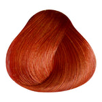 Load image into Gallery viewer, BASIC COLOR - BR.56