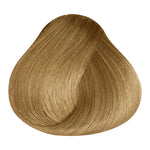 Load image into Gallery viewer, BASIC COLOR - GG.33