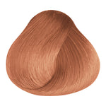 Load image into Gallery viewer, BASIC COLOR - K.4