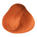 Load image into Gallery viewer, BASIC COLOR - KG.43