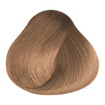 Load image into Gallery viewer, BASIC COLOR - N.0