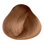 Load image into Gallery viewer, BASIC COLOR - RB.65