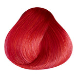 Load image into Gallery viewer, BASIC COLOR- R.6