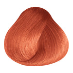 Load image into Gallery viewer, BASIC COLOR - BR.56