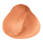 Load image into Gallery viewer, BASIC COLOR - KG.43