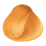 Load image into Gallery viewer, BASIC COLOR - MIX