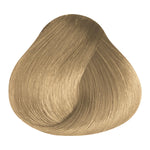 Load image into Gallery viewer, Basic Color - Jam